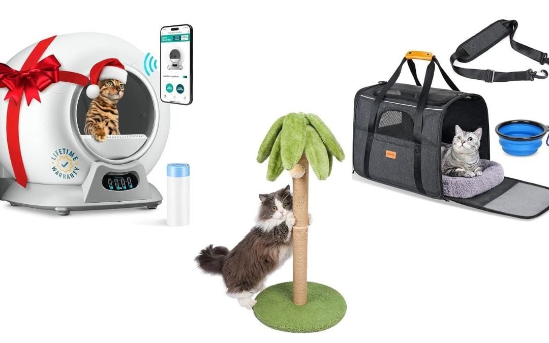 Prime 10 Black Friday Picks for Cat Homeowners