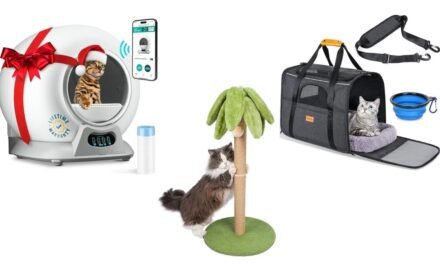 Prime 10 Black Friday Picks for Cat Homeowners