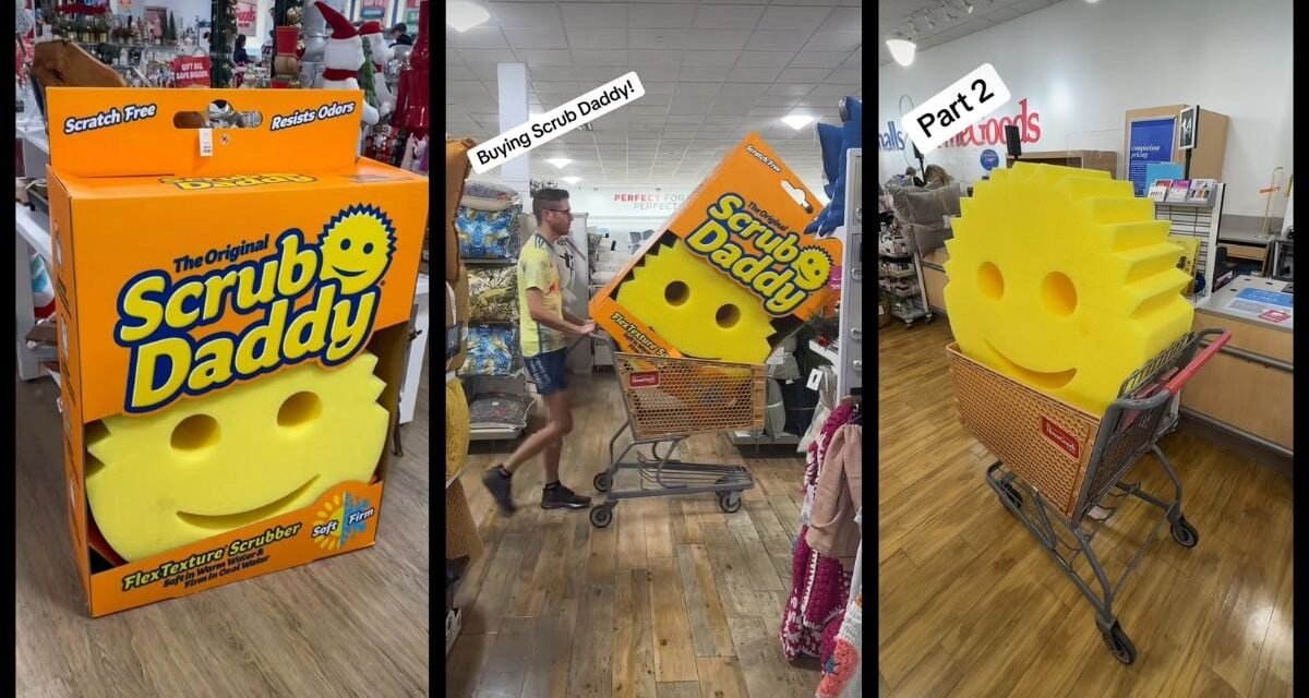 Tends Unleashes$ 1, 000 Scrub Daddy, Sparking Chaos