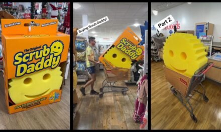 Tends Unleashes$ 1, 000 Scrub Daddy, Sparking Chaos