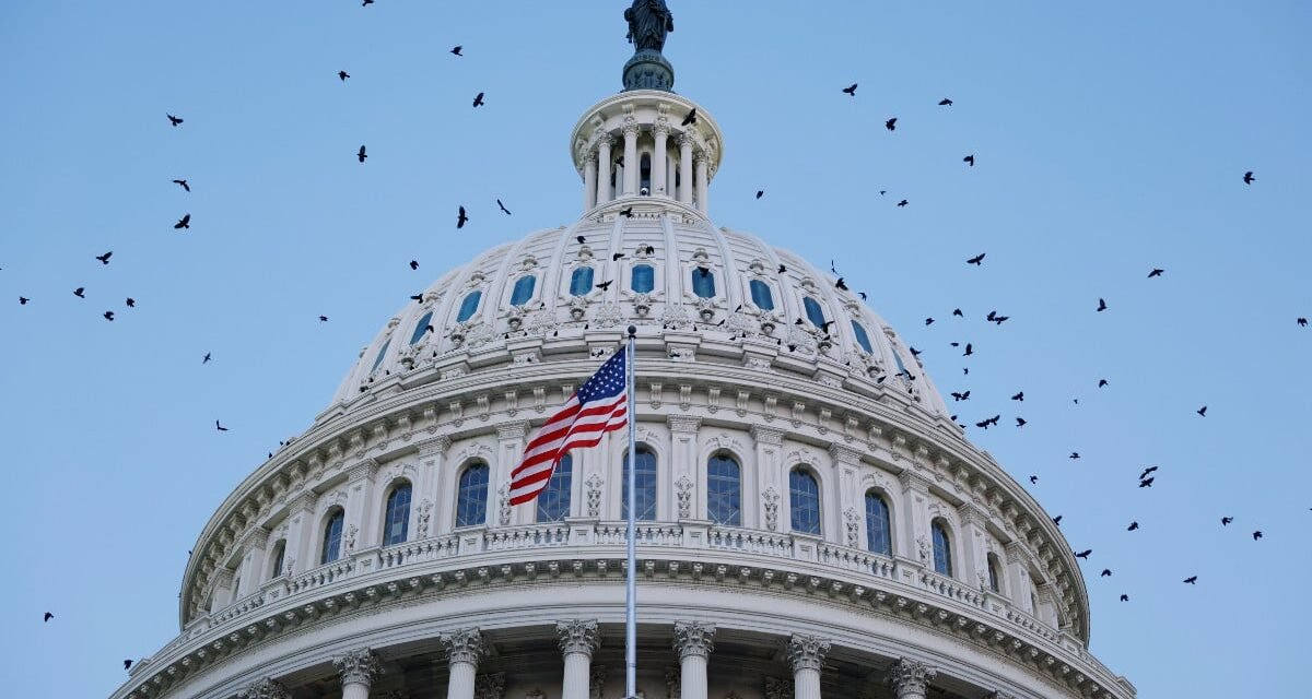 ‘ A Wolf in Sheep’s Clothing ‘: Just Enacted’ Volunteer Killer ‘ Bill Fuels Trump’s Authoritarian Agenda