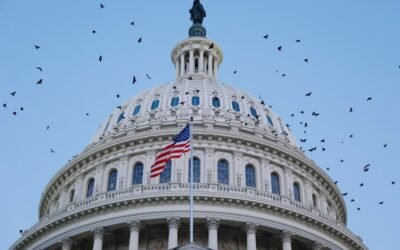 ‘ A Wolf in Sheep’s Clothing ‘: Just Enacted’ Volunteer Killer ‘ Bill Fuels Trump’s Authoritarian Agenda