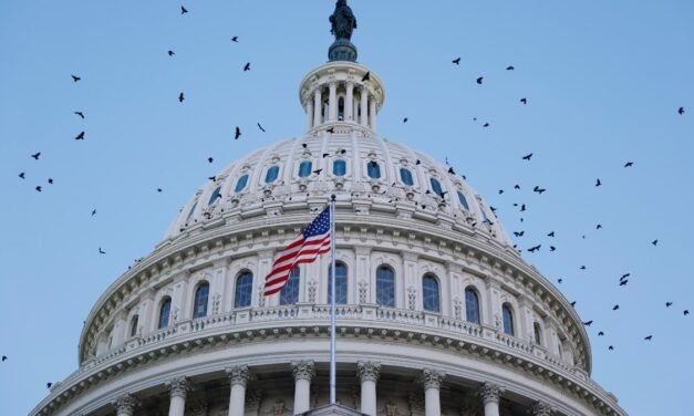 ‘ A Wolf in Sheep’s Clothing ‘: Just Enacted’ Volunteer Killer ‘ Bill Fuels Trump’s Authoritarian Agenda