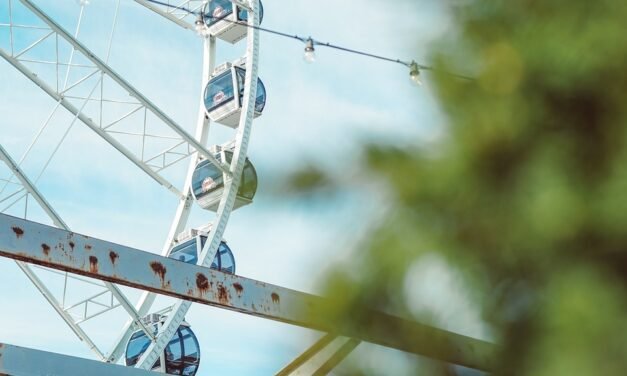 Discover More About Tony McGill