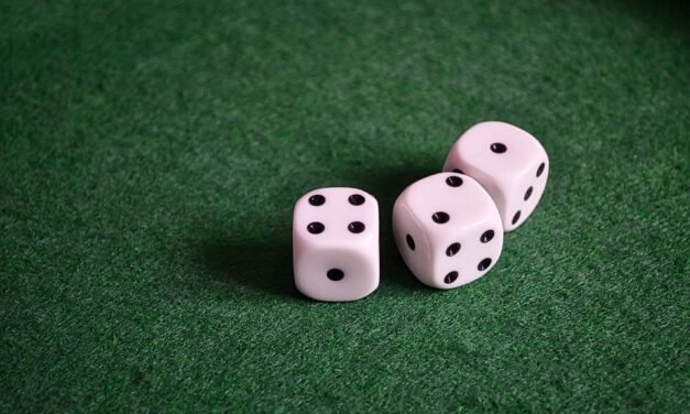 Will She Reunite with Kody Once more?