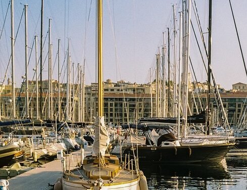 What prompted Kaley Cuoco to adopt her canine Shirley?