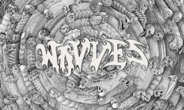 Wavves Unveils New Album” Spun”, Set to Transfer on June 6 via Ghost Ramp, Alongside North American Tour Announcement