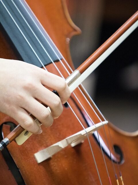 5 Questions for Zygmund de Somogyi