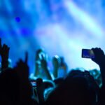 How Music Followers Keep Engaged Between Festivals: Traits in Digital Leisure
