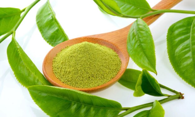 Setting New Traits in Retail