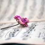 Sacha’s Interview and Nation Music Updates – October 27