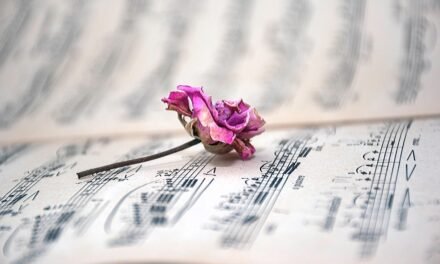 Sacha’s Interview and Nation Music Updates – October 27