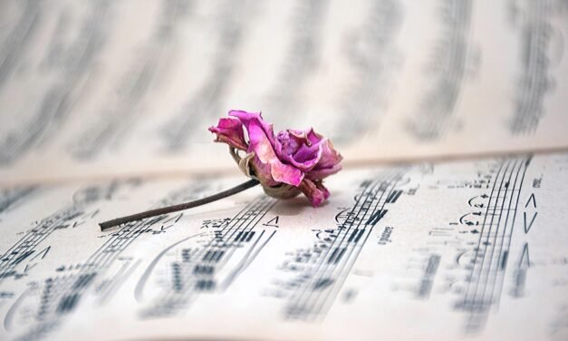 Sacha’s Interview and Nation Music Updates – October 27