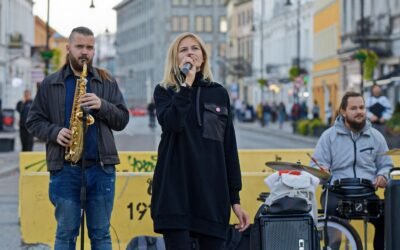 A Research on Pay Transparency for Composers: Insights from a Failed Try