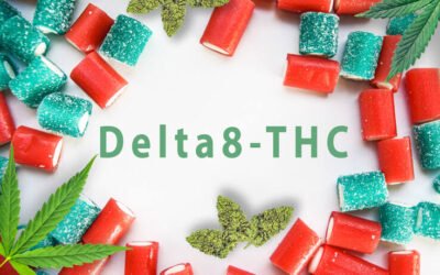 Final Delta 8 Gummies of 2026: Prime 5 Manufacturers Reviewed for Music Fanatics