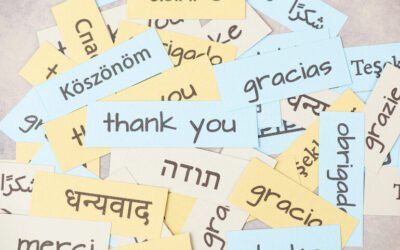 Romanians Abroad: The Significance of Native Language Assist