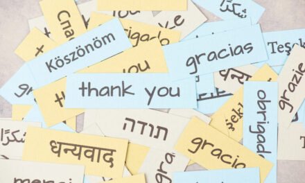 Romanians Abroad: The Significance of Native Language Assist