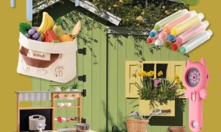 Amazon Sundays: Backyard Riches for Children