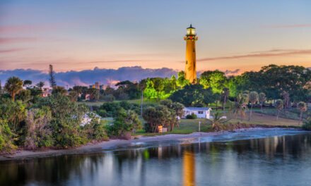 South Carolina Journey Information for Newbies: Ideas for a Seamless Journey