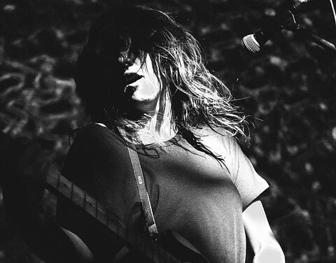 Elevate Your Vibration Above the Clamor