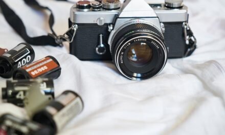 A Popcorn Fair Review: Flat-Faced…