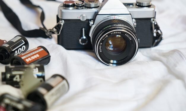 A Popcorn Fair Review: Flat-Faced…